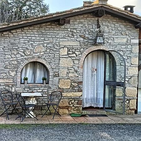 Il Rustico Villa Rosignano Marittimo Luaran gambar